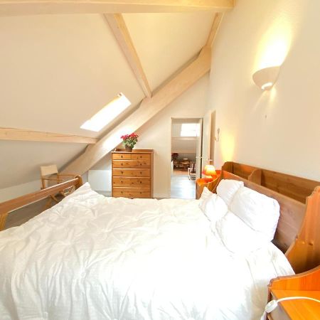 Place De La Mairie T2 Type Loft 70M2 Terrasse 35M2 Cauterets Zewnętrze zdjęcie